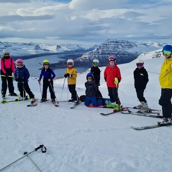 66b3d394-5d85-45b2-8d16-94090d44f006