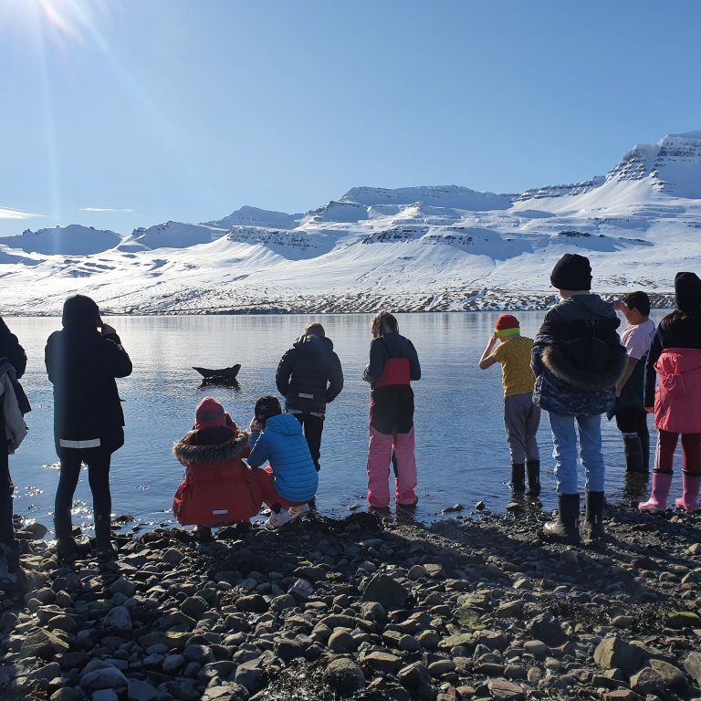 90559153_219743902417128_5520765973189099520_n