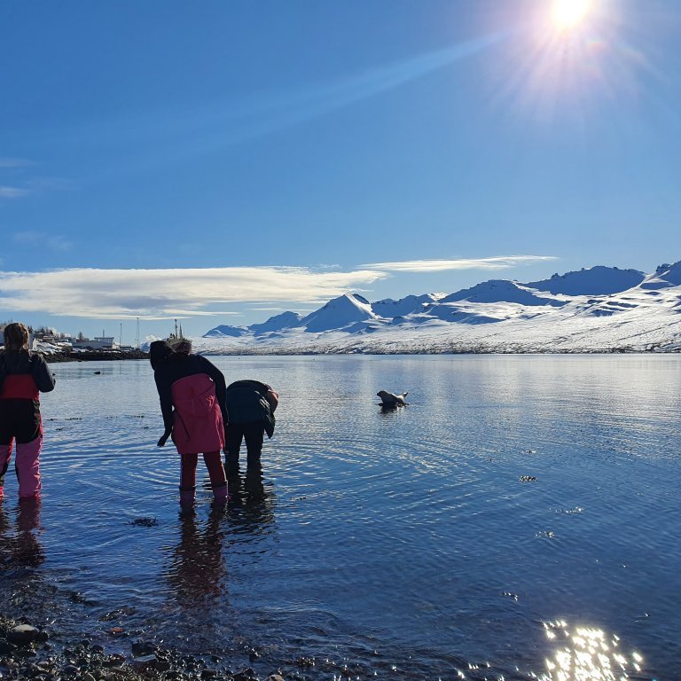 90562651_253180092369244_5408484575905054720_n