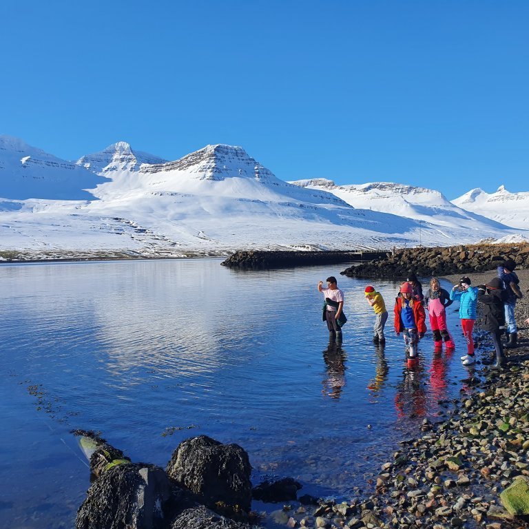 90637914_234288724424693_260670713474580480_n