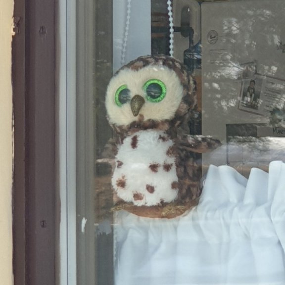 thumbnail_20200326_095810