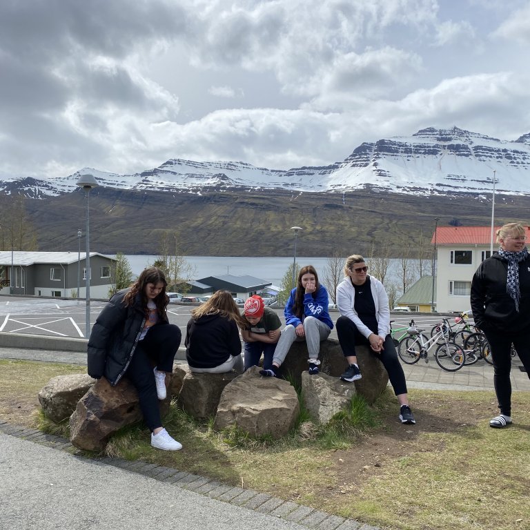 325cf3cb-a955-4749-918d-932fa377d990