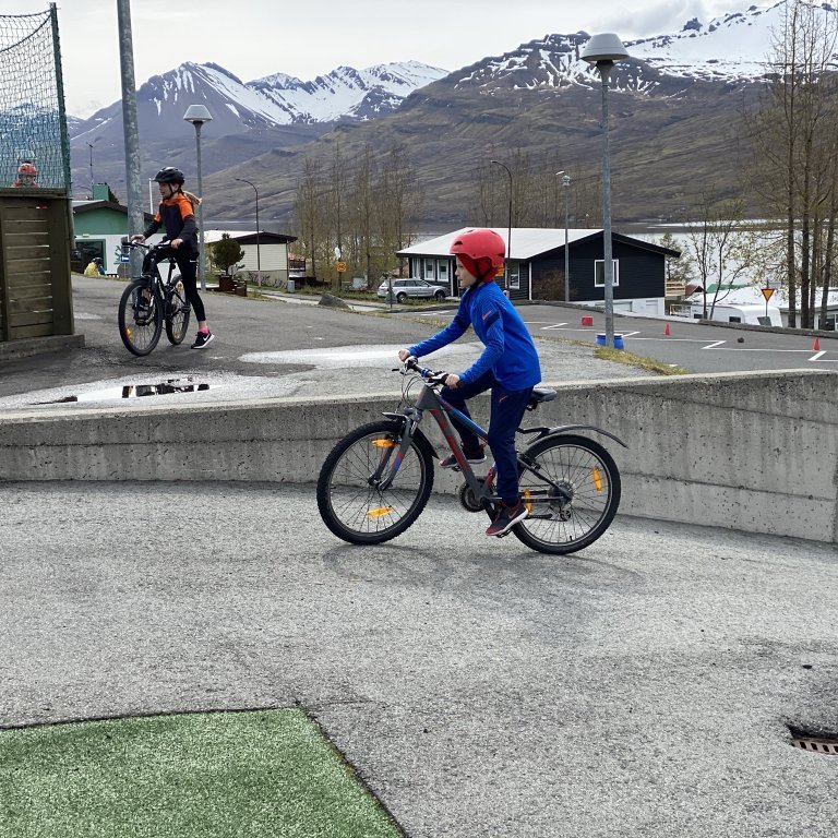 47807d55-fcce-47fb-a0f8-9603a098928c