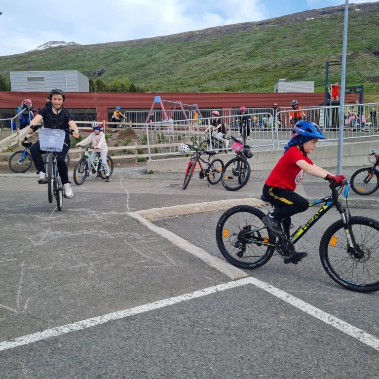 350088984_592398556323874_6475553907095970297_n