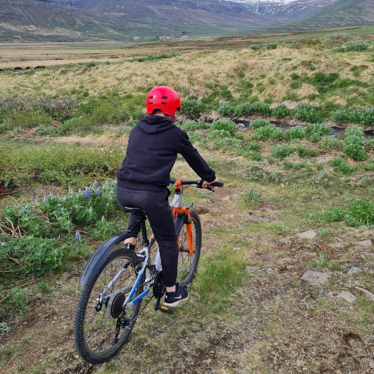 350387722_241673018558754_5644042060087949054_n