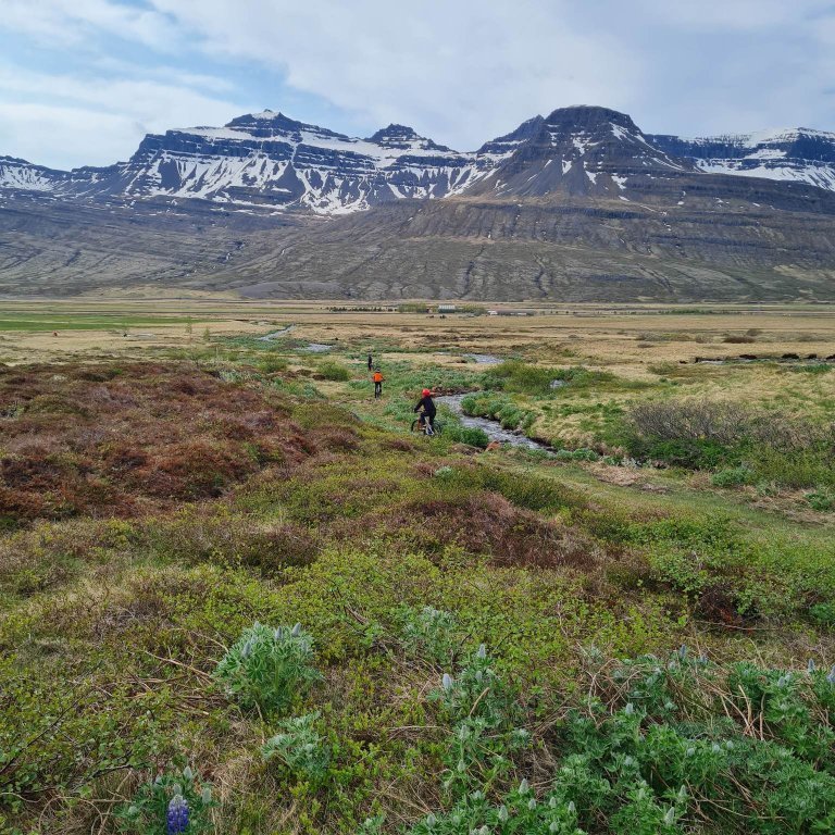 350727086_799079618455934_5358711374537699620_n