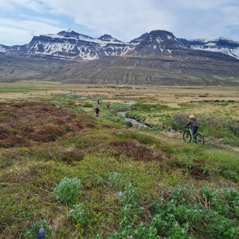 350882146_211856507866917_1845520214325445507_n