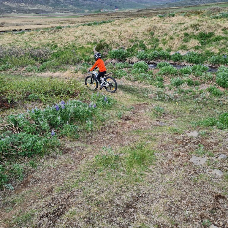 350899864_2627718024032522_4037495158329401991_n