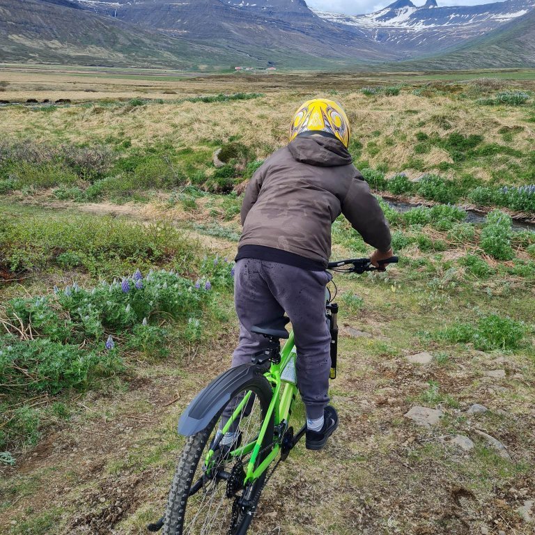 351281360_1247649429245065_6061566879805566582_n