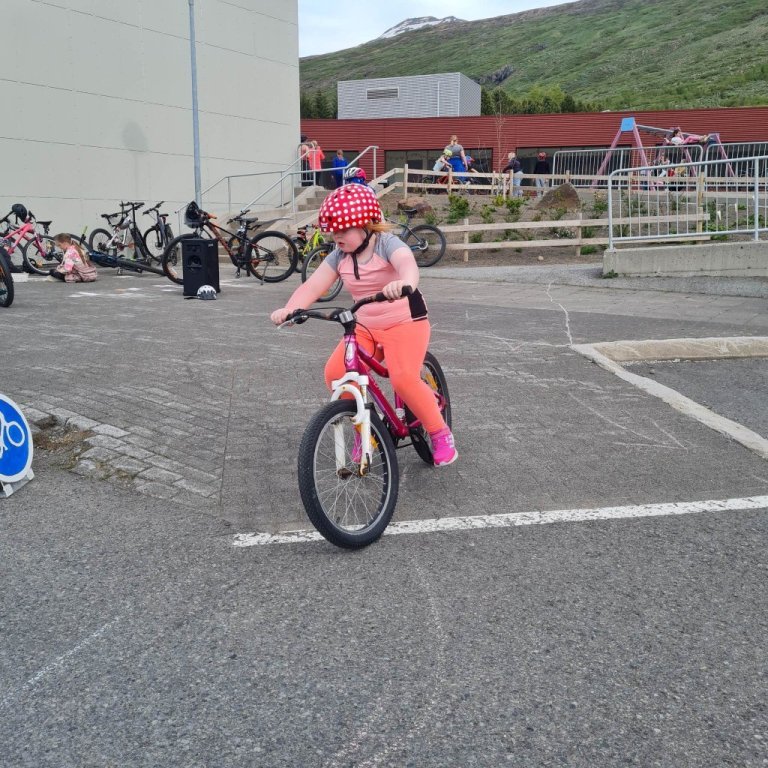 351378363_925715141878358_2026736132559634861_n