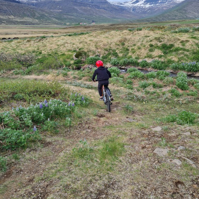 351446234_1468437373560376_2342356998595853606_n