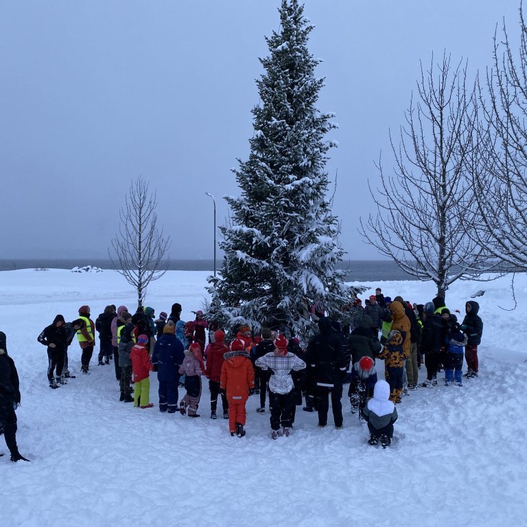 08a00661-8918-4858-9561-7bb2decaa0ec