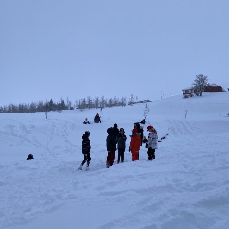 1aef0466-162d-4378-9f40-b6a541af5b6b