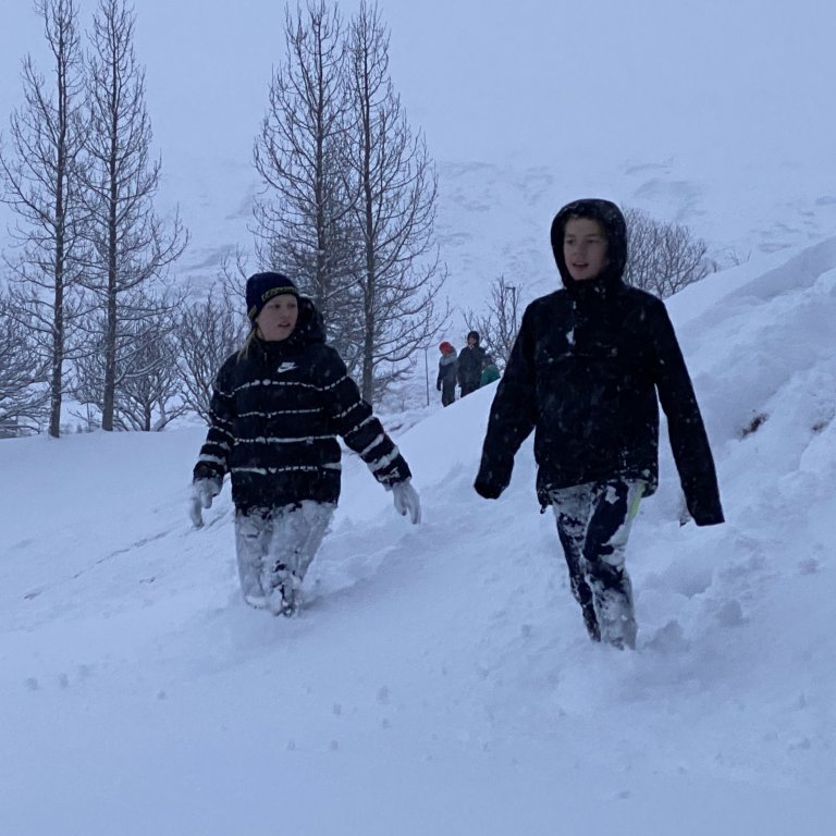 266d8cc5-2d17-4636-8202-f693e87dec57