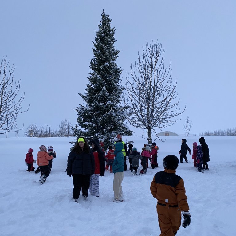 31904152-54ee-41e7-b764-becc6dd8b7e3