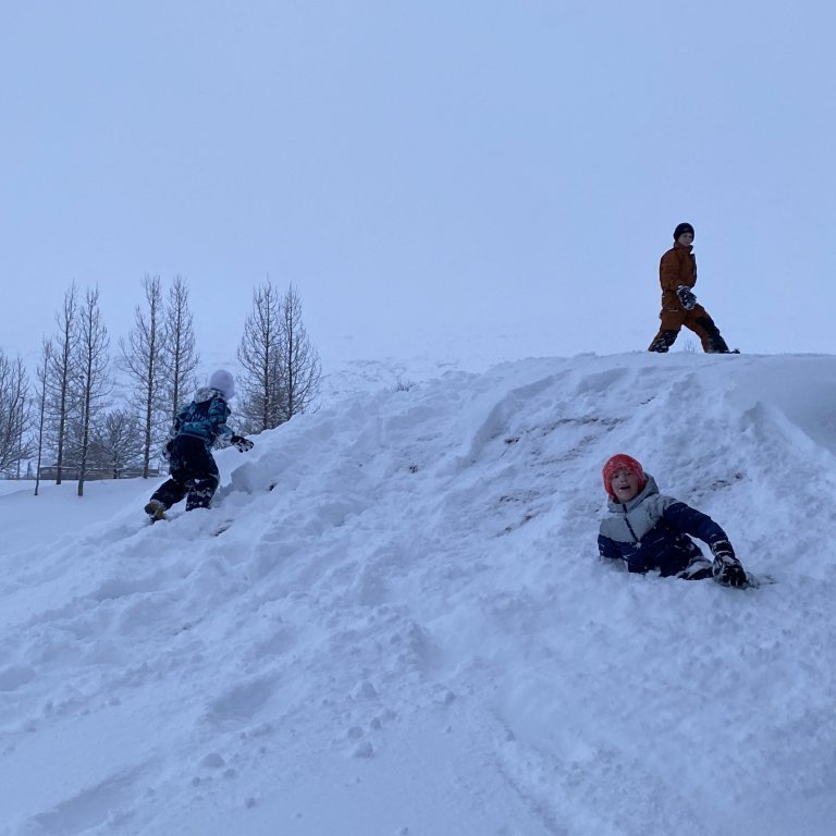 4e684aa4-cb12-4d8f-8746-0211282ed24f