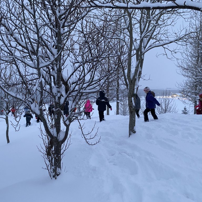 58d5a893-70b6-4249-873d-fbd32cbd70e9