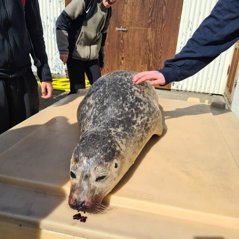 348358011_2498919603602926_1921851641265270730_n