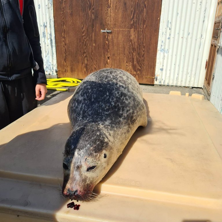 348358158_284626530583432_5800136456547236609_n