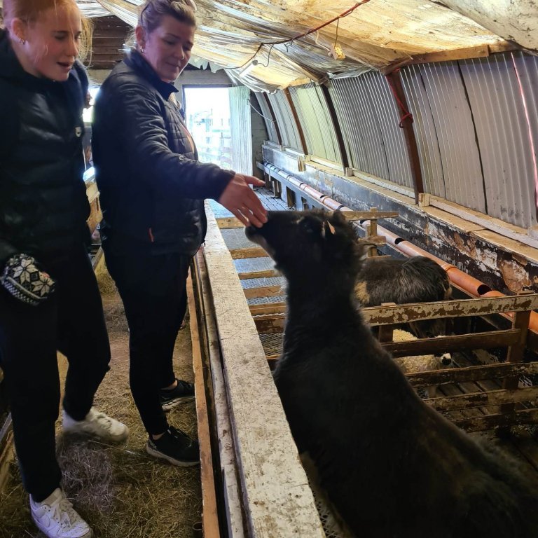 348358852_1037918294008408_8040665929949858883_n