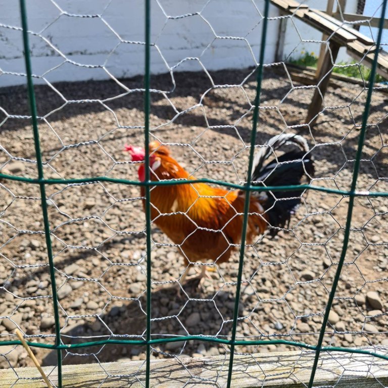 348359017_1687692131667981_9036357849709012492_n-1