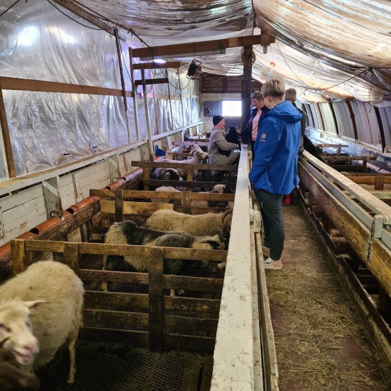 348372966_217821267721996_7728293359519279280_n