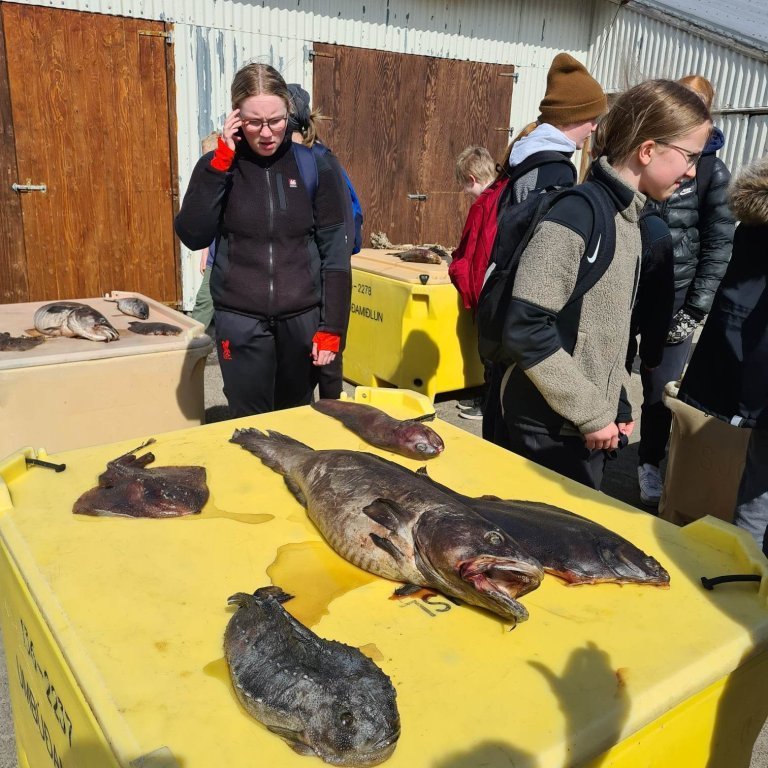 348378416_1422744668477079_3092355870563586207_n