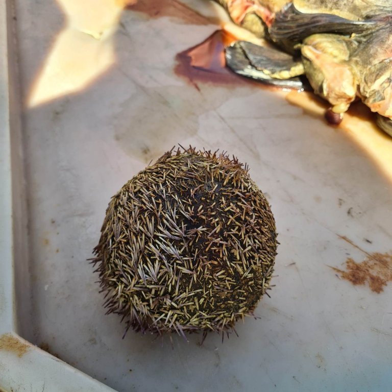 348380449_205758605699331_6043736731656313142_n