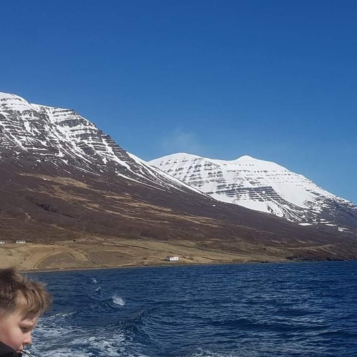 a5def3ce-2c80-4319-a77c-fdfc1ba02c37