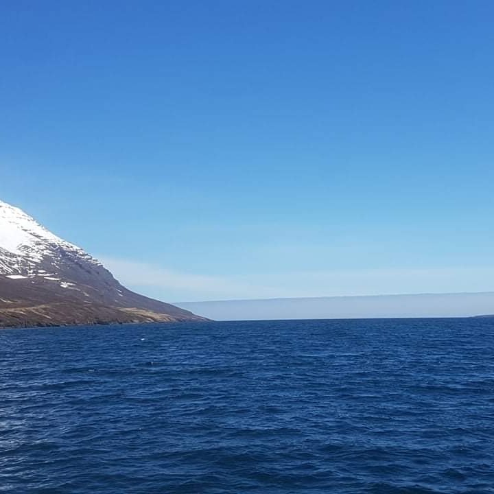 c702a2cb-fe36-4d26-a77c-61fc6b724695