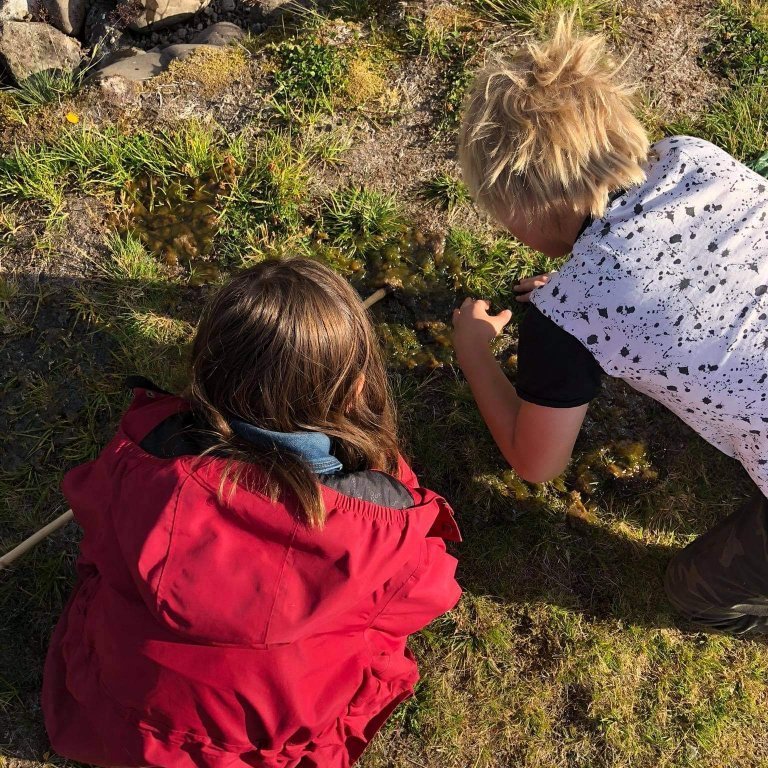 3d02baf3-4d8f-4a12-b24a-880564e4123b