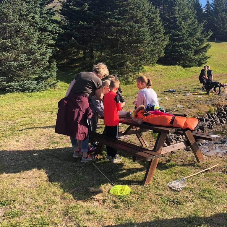 4d331d31-fad9-4b95-9039-62b946362c77