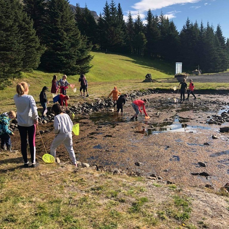 9a57eb1b-49b5-4ba0-81cb-3292eadfb9b4