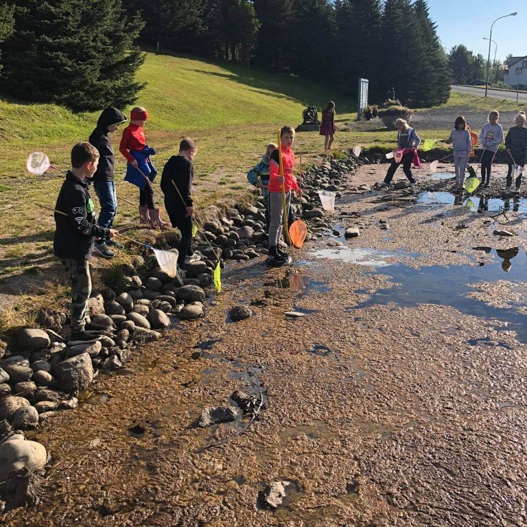 a130c74b-edc6-40b7-867f-bdaf8e3adb40