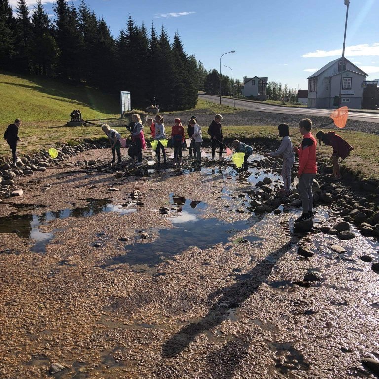 a72cf652-9319-4b35-855e-55fafdb15da4