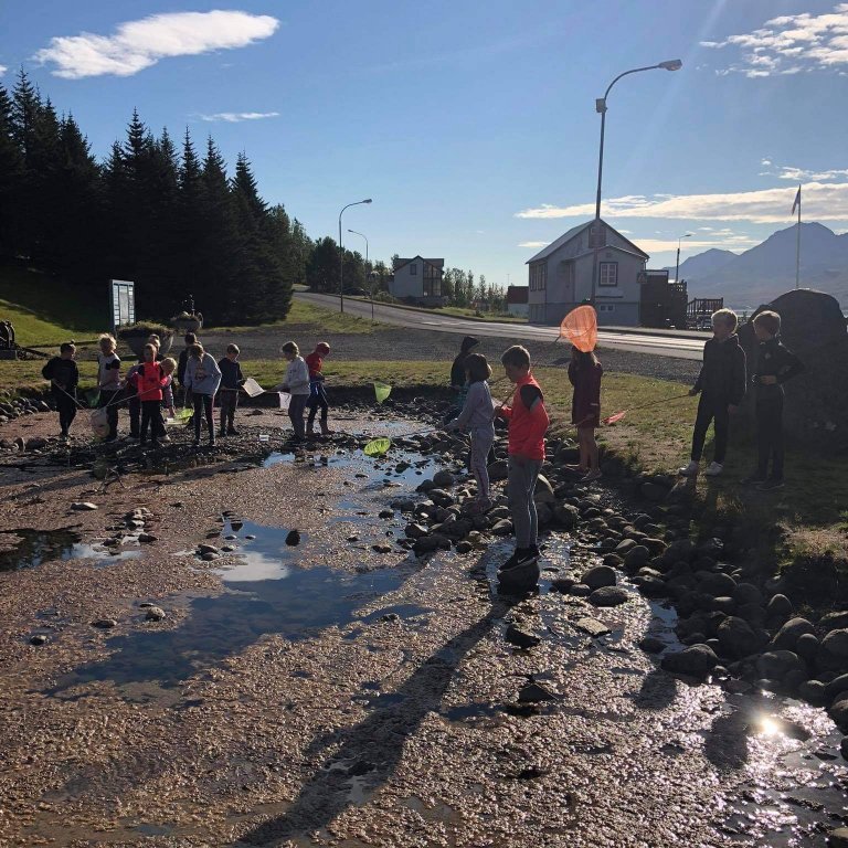 b497c151-2bdf-483f-a3c2-c8da7f7a0b7f