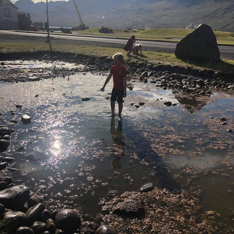 c786f5f4-02f5-4ce0-a423-4fca60593fbb