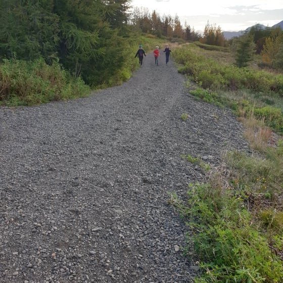 120367640_269589950766122_8051848875907113520_n