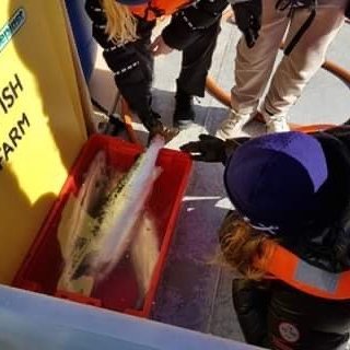 046be434-468e-47dc-b6f1-2b784b248dff