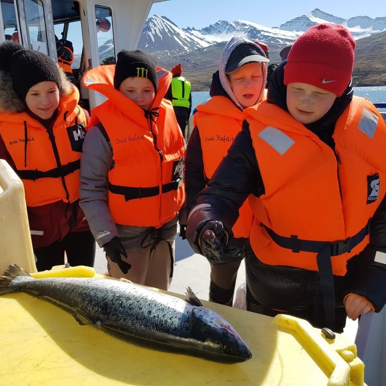 29cff2cc-9f5a-4de1-aeea-d3b1e1aa443d