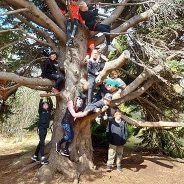 342a8db9-7061-4e1b-b305-0b79d83e50ed