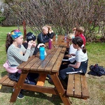 4f3cf760-4673-474d-b0c6-63fbc1b2f1ce