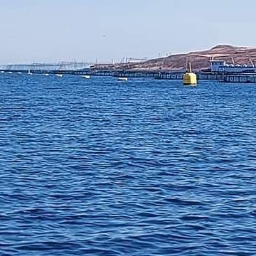 8f793541-1ff3-480b-bb7a-a4465a071a93