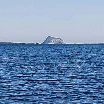 98add321-6873-4c41-b87d-76e4945c3fc2