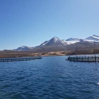 ba767cd6-611f-4c75-be29-0f5b30207638