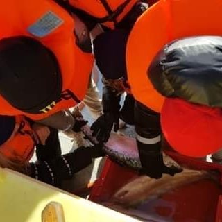 c688de77-0a2e-4917-a5b5-54fb9674a4b8