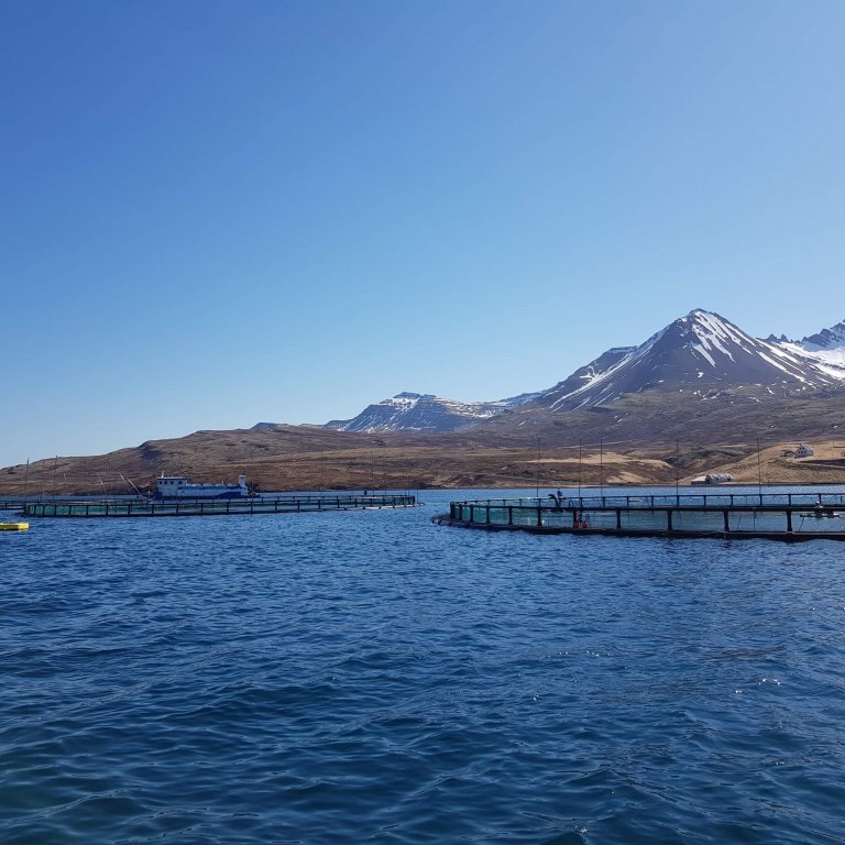 c725a011-3f67-4394-93a4-3c0b5be2648e