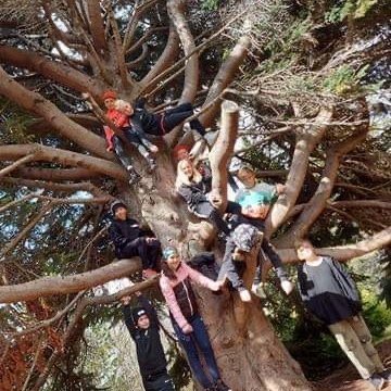 d0eefece-2315-4a35-87ad-76dd8cfed81c