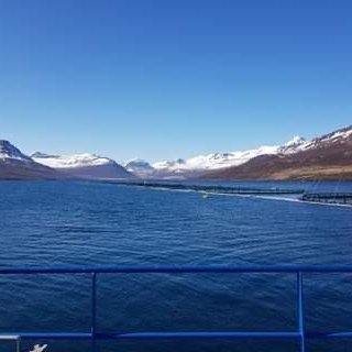 f43023d1-738f-49ae-96cb-d0111f13e526