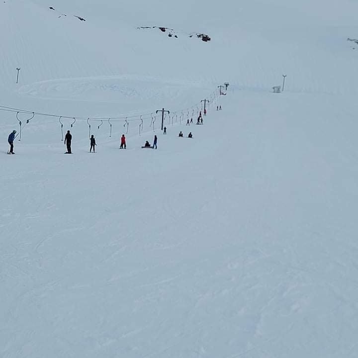 d36fa2d8-8eaf-4405-8b7f-e8a6e3712221